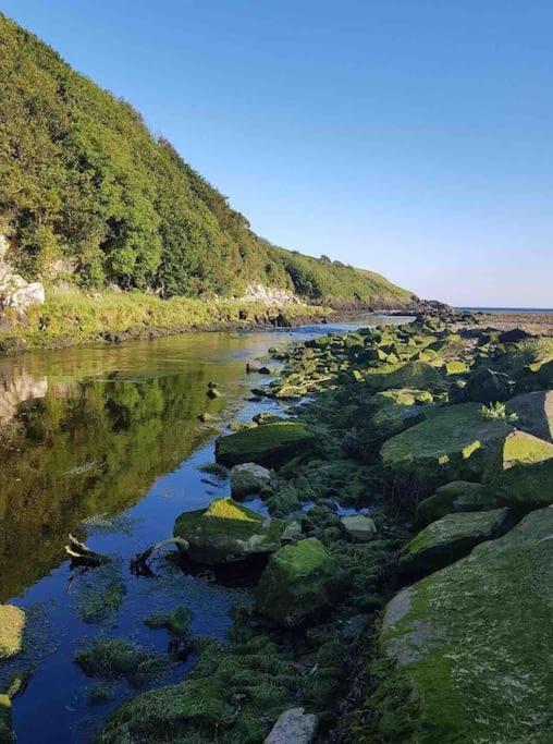 Mounvaud Lodge Stradbally  エクステリア 写真