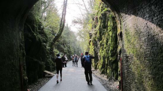 Mounvaud Lodge Stradbally  エクステリア 写真